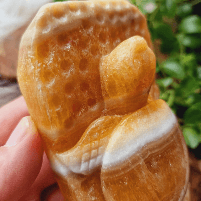 Orange Calcite Hangcarved Turtle Carving 440g