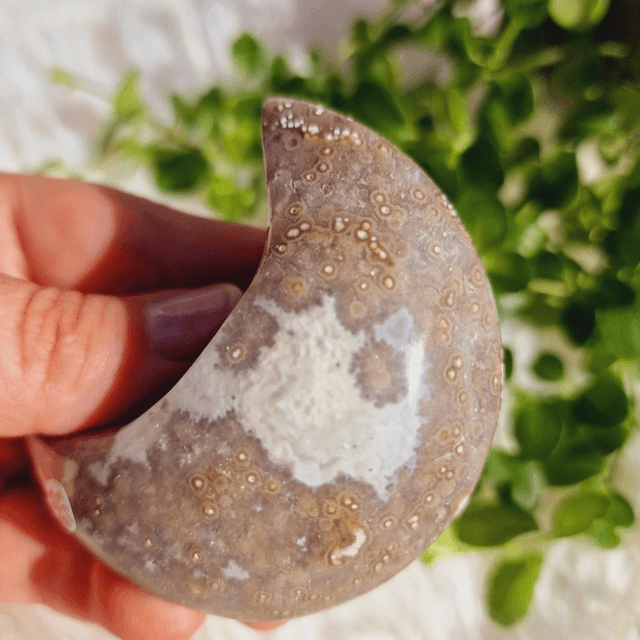 Ocean Jasper Moon