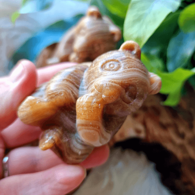Chocolate Calcite Panda Bear 