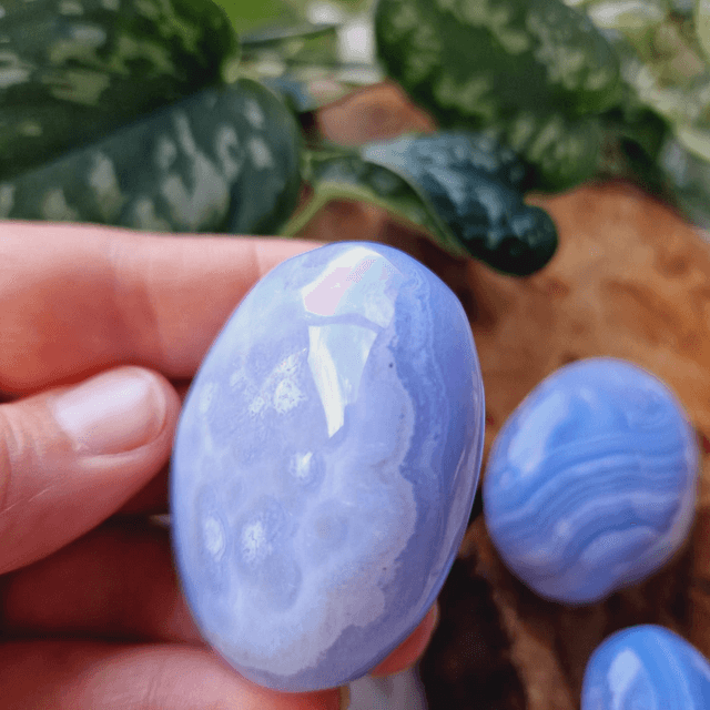 Blue Lace Agate Palm 