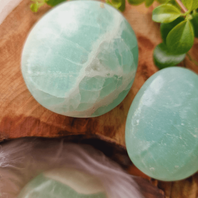 Caribbean Calcite Palm