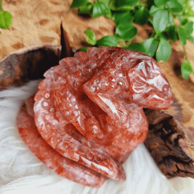 Fire Quartz Lizard 312g
