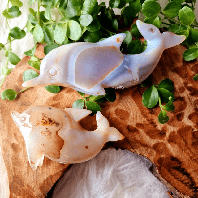 Agate Dolphin Carving 