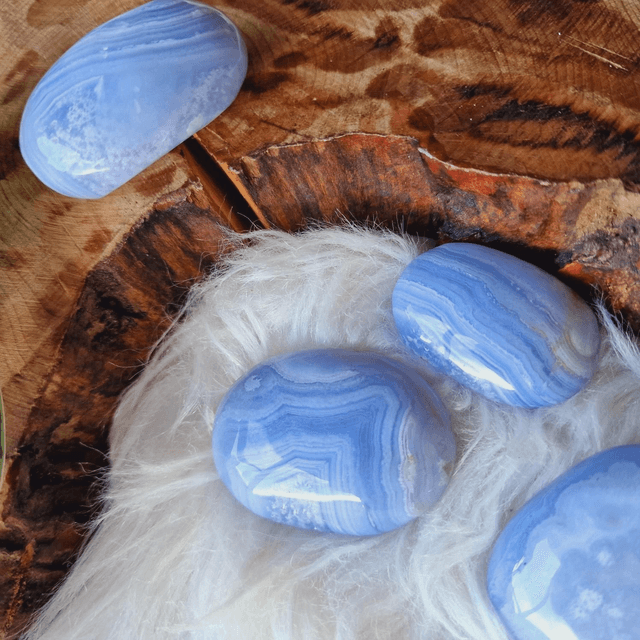 Blue Lace Agate Palm 