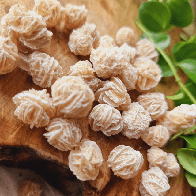 Desert Rose Minis