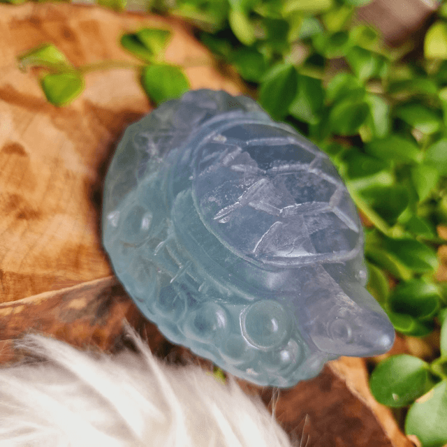Fluorite Pastel Toned Turtle Carving 