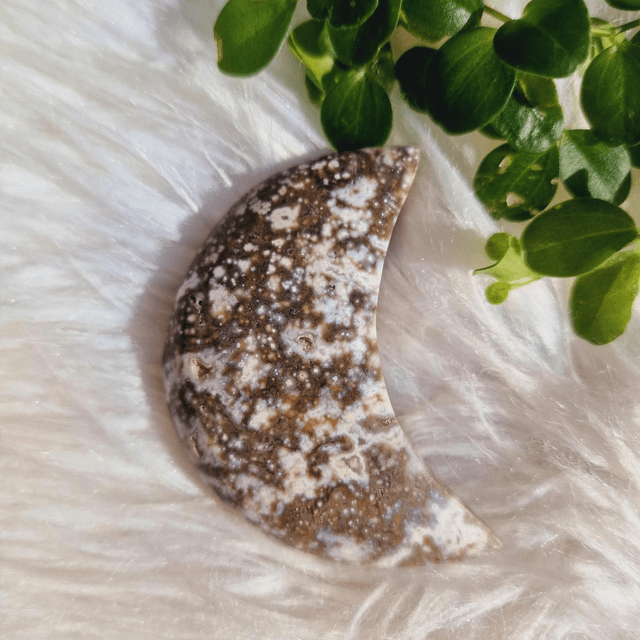 Ocean Jasper Moon