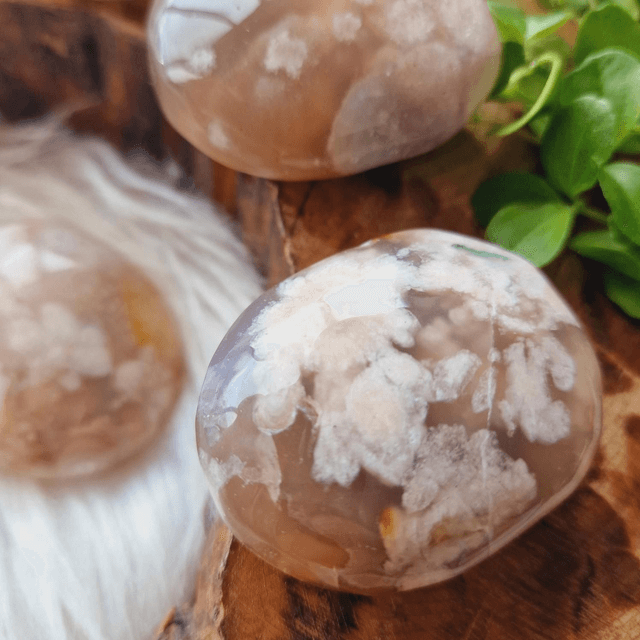 Flower Agate Palm