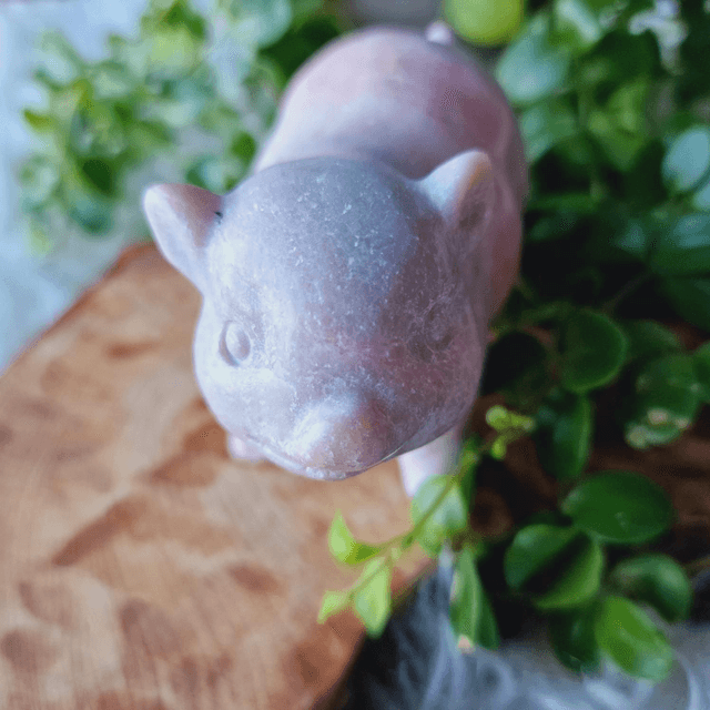 Pink Opal Pig Polished 