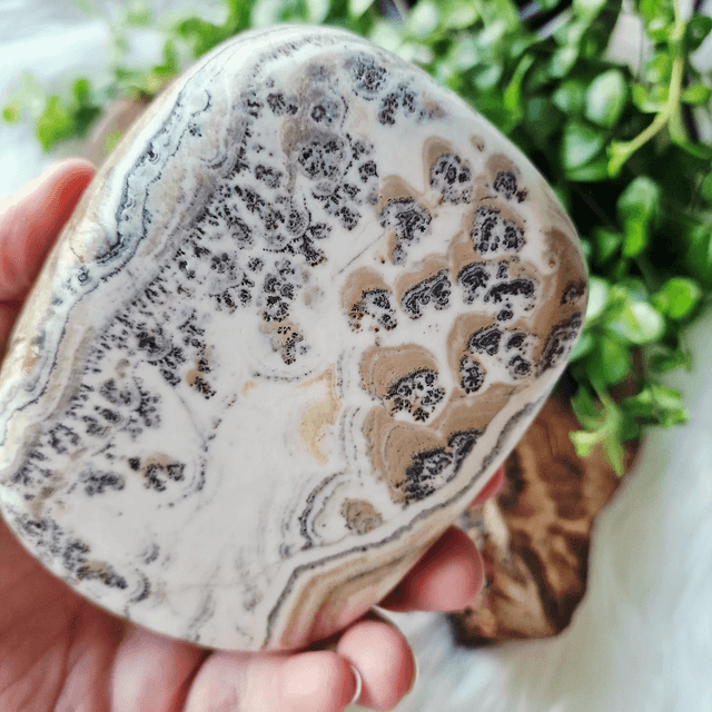 Dendritic Calcite Bowl 