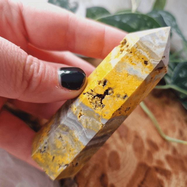 Bumblebee Jasper Point 104g