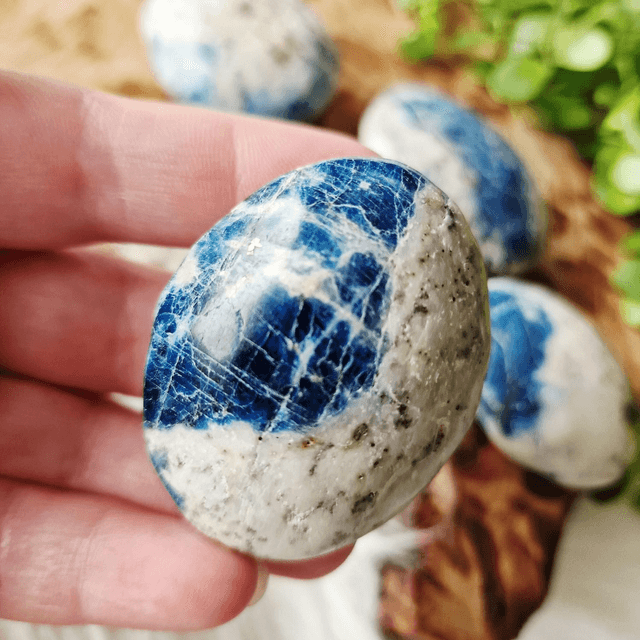 Blue Apatite in Jasper palm