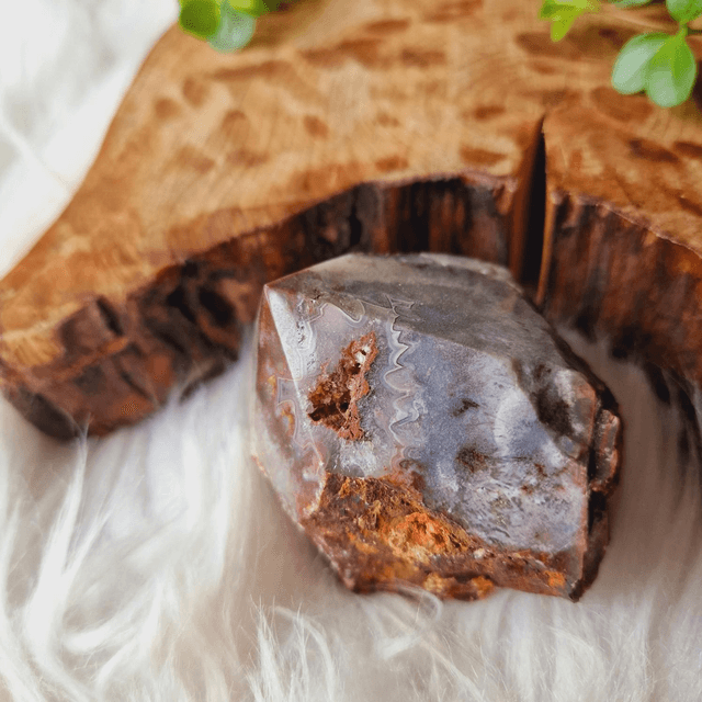 Crazy Lace Agate Part Raw Part Polished Energy Point 304g