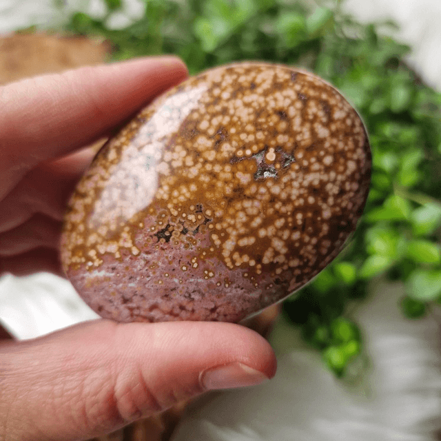 Orbicular Ocean Jasper palm