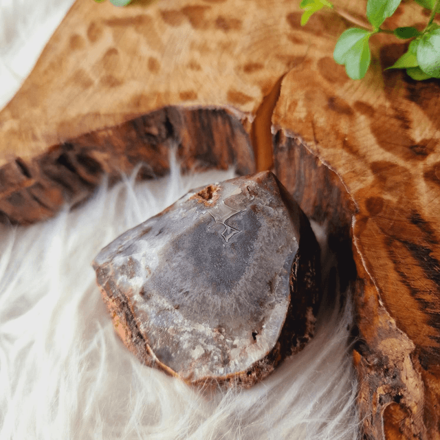 Crazy Lace Agate Part Raw Part Polished Energy Point 304g