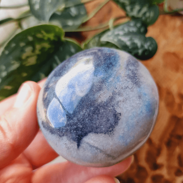 Trolleite Palm
