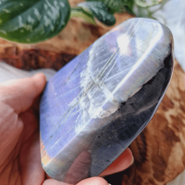 Labradorite Freeform 566g