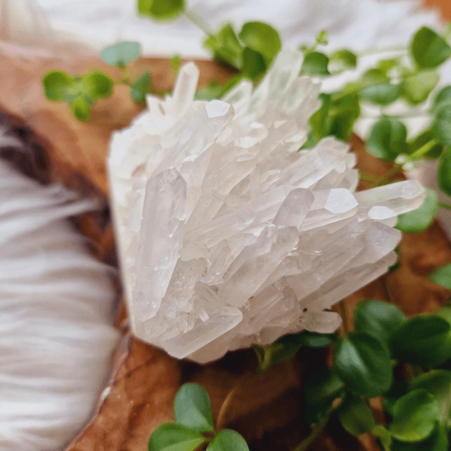 Clear Quartz Cluster 308g