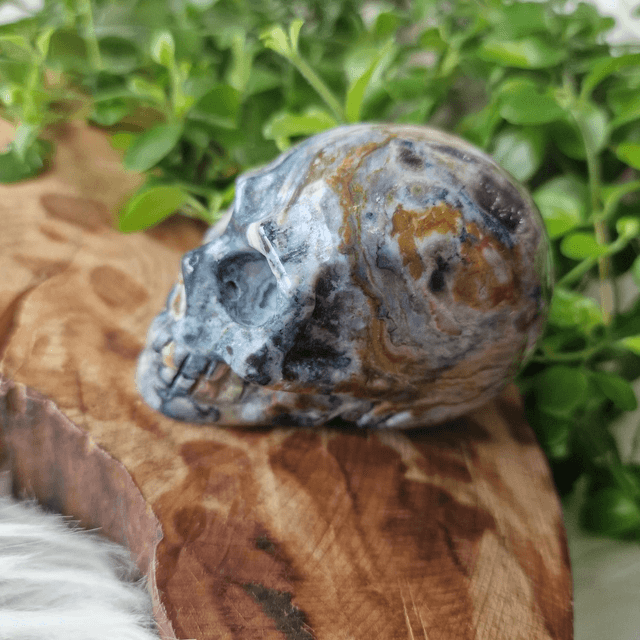 Ocean Jasper skull