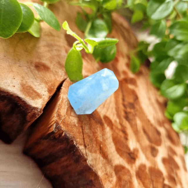 Aquamarine Mini Points 
