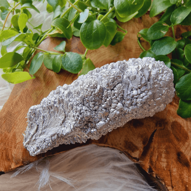 Magnesium specimen 62g