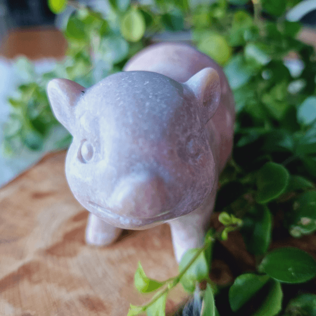 Pink Opal Pig Polished 