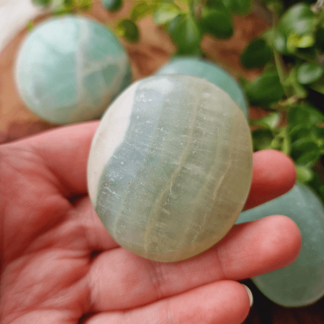 Caribbean Calcite Palm