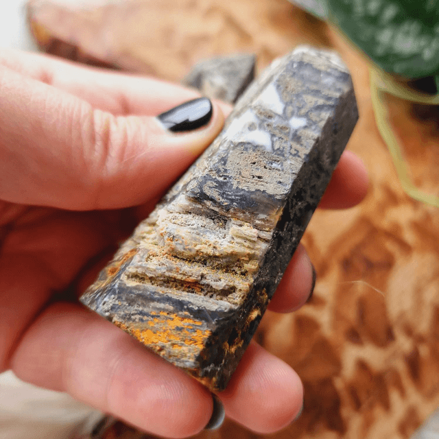 Moss and Pyrite Point 