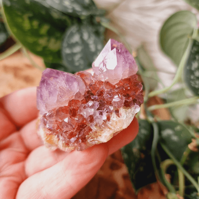 Red Spirit Quartz - RSQ3
