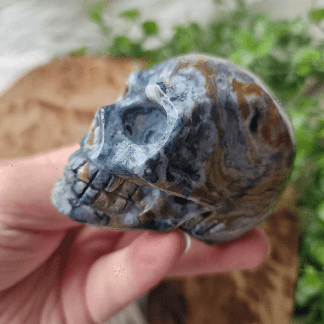 Ocean Jasper skull
