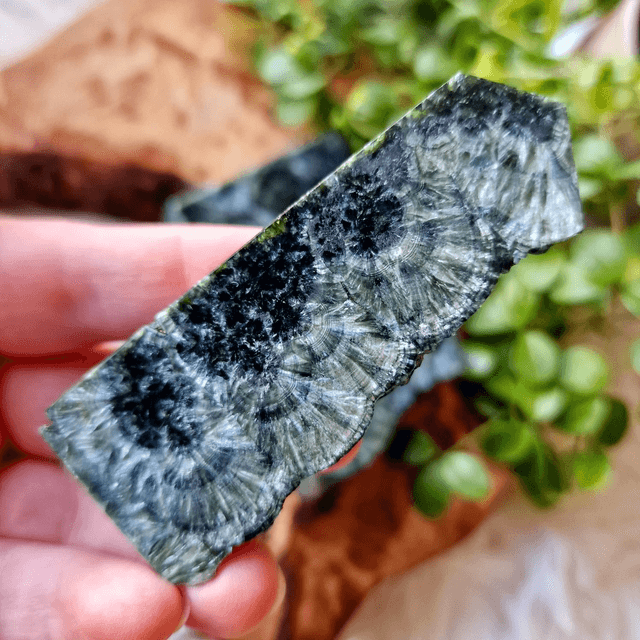 Seraphinite Point 