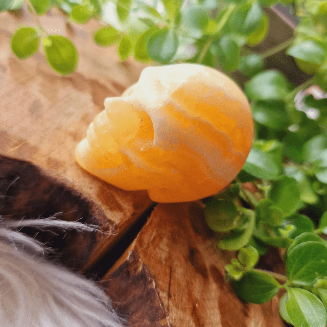 Orange Calcite Small Skull 