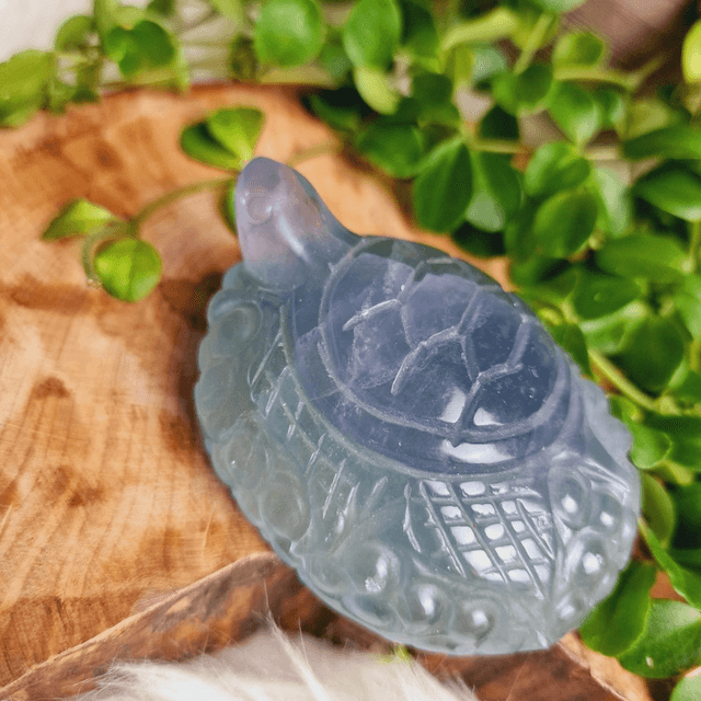Fluorite Pastel Toned Turtle Carving 