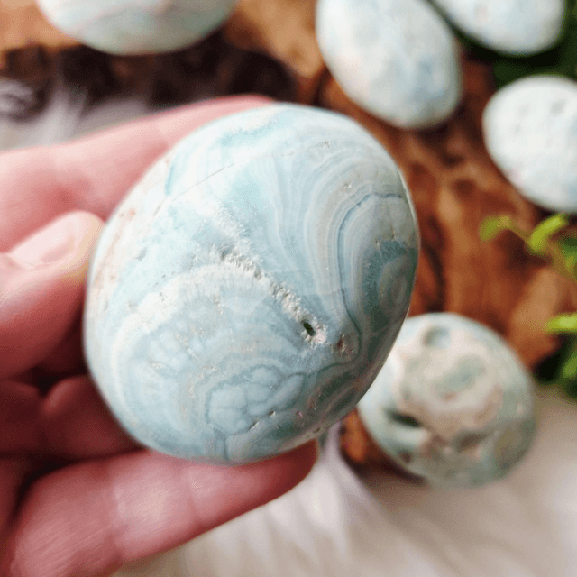 Blue Aragonite palm 