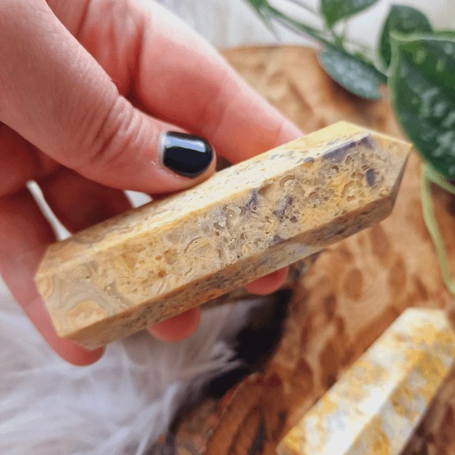 Crazy Lace Agate Point 