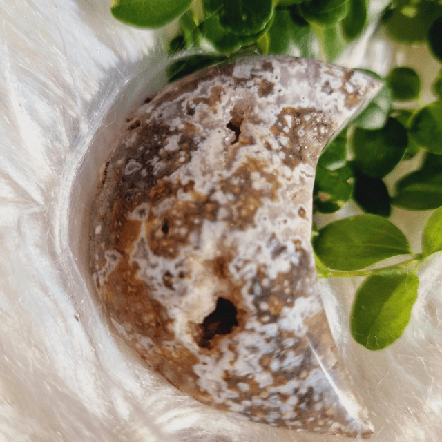 Ocean Jasper Moon