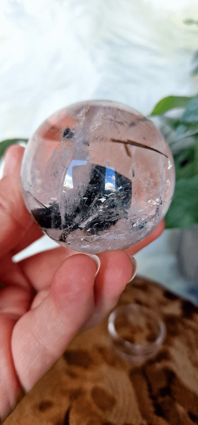 Tourmaline and Green Mica in Clear Quartz Collectors