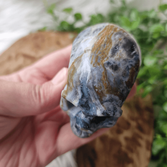 Ocean Jasper skull