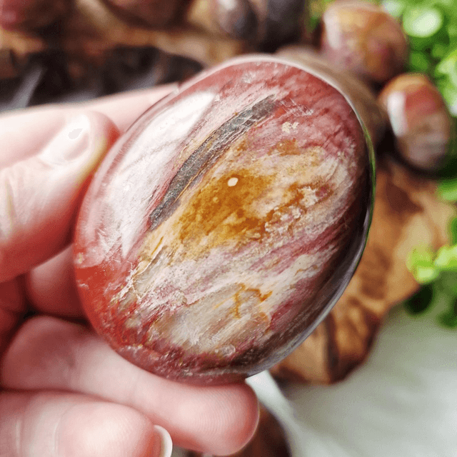 Petrified wood small palms 