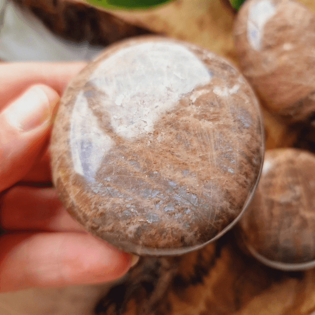 Peach & Black Moonstone Palm