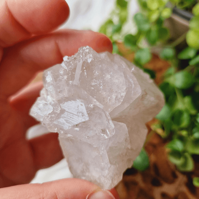 Diamond Apophyllite Cluster 118g