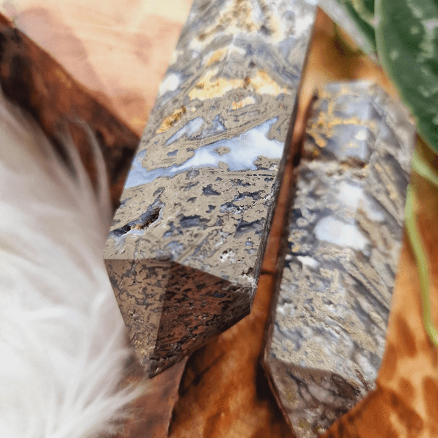 Moss and Pyrite Point 