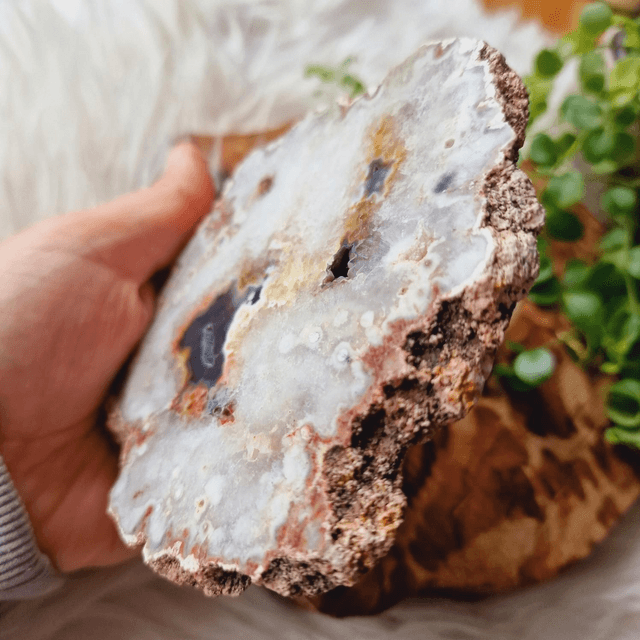 Argentinian Agate Slab 