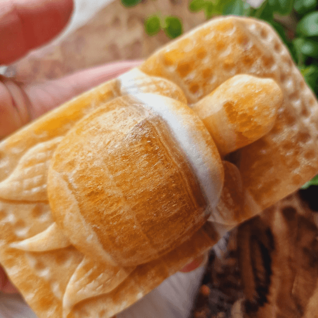 Orange Calcite Hangcarved Turtle Carving 440g