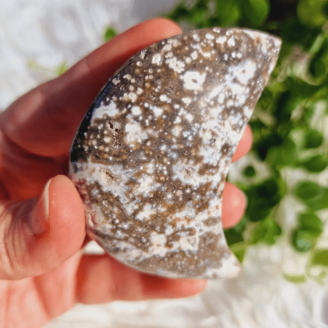 Ocean Jasper Moon