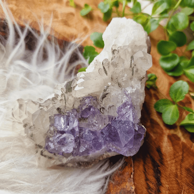 Fluorite and Chlorinated Quartz Cluster 262g