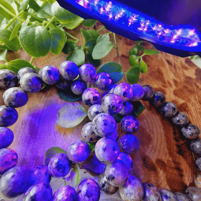 Yooperlite 10mm Beaded Bracelet 