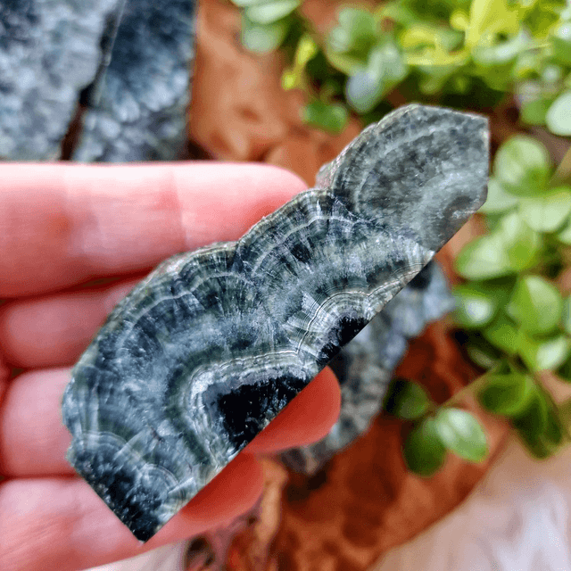 Seraphinite Point 