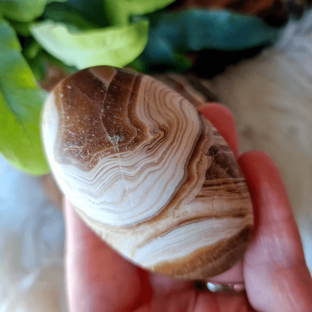 Chocolate Calcite Palm
