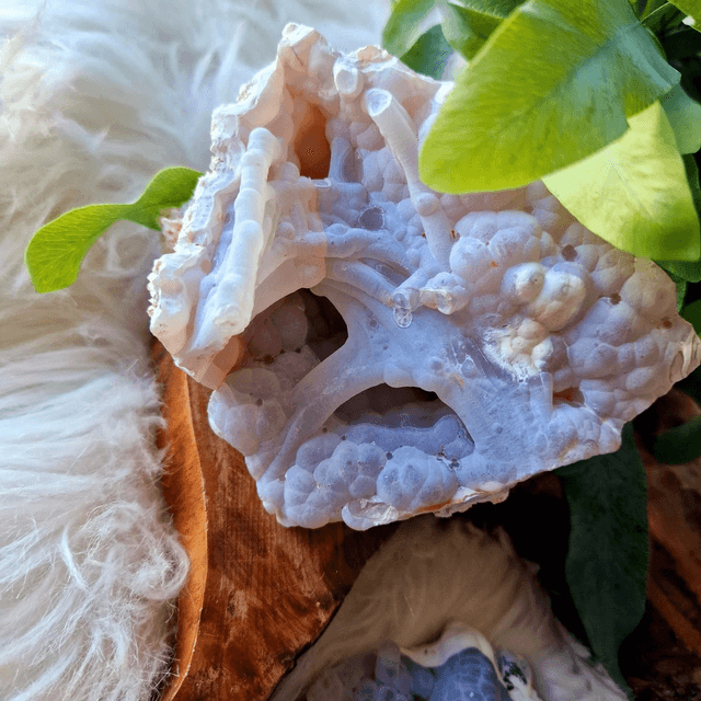 Agate Botryoidal Raw Specimen 